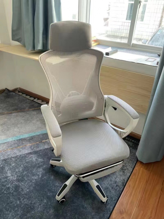 Ghế Công Thái Học Cao Cấp TMS06 Xám